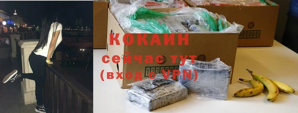 ГАЛЛЮЦИНОГЕННЫЕ ГРИБЫ Тайга