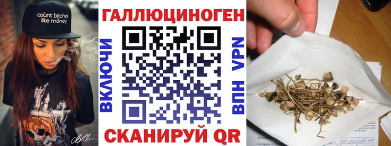 Галлюциногенные грибы Cubensis  дарнет шоп  Новоузенск 